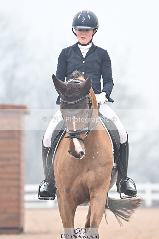 240217A-123004-02236 - 225-Lucy.Goodman-Queenie.S