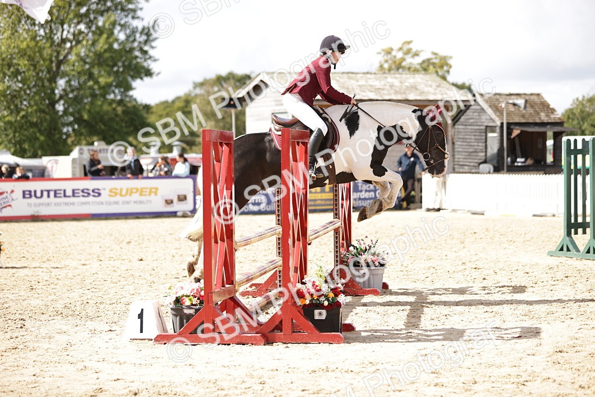 SBM_22396 - J59 - Clear Round 85cm