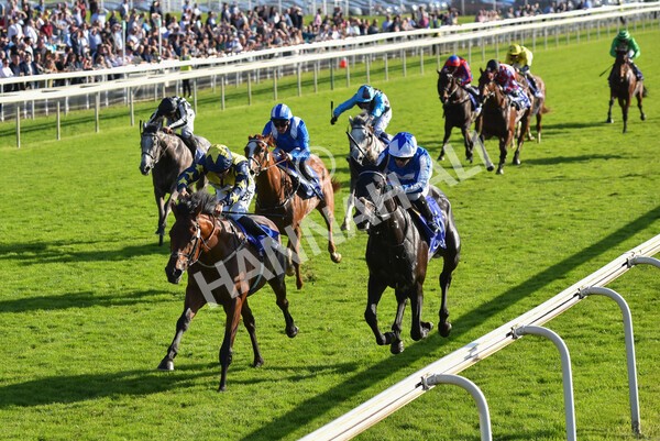 yr08102021r4-28 - Race 4 3.50pm Casumo Dare To be Different Handicap