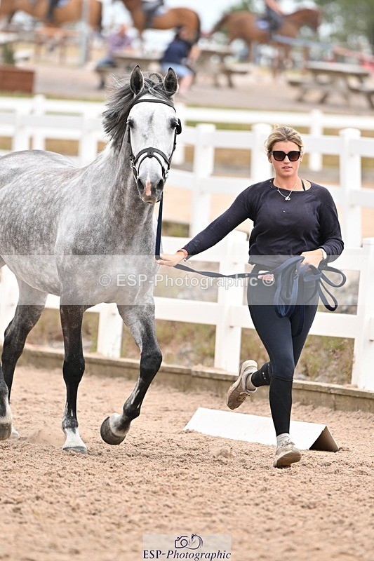 250716-155539-02290 - Trot Up 3.30 to 4.30