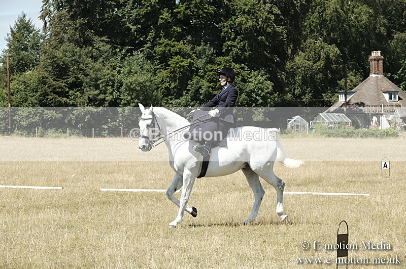 _PJP5953 - Dressage Classes BVRC Show 2018