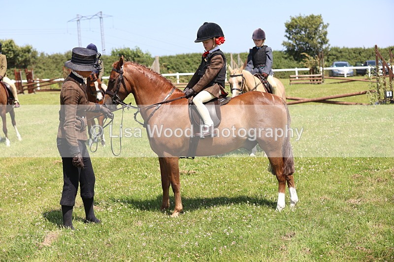 JPP_2286 - Class 20: Tiny Tots Working Hunter Pony