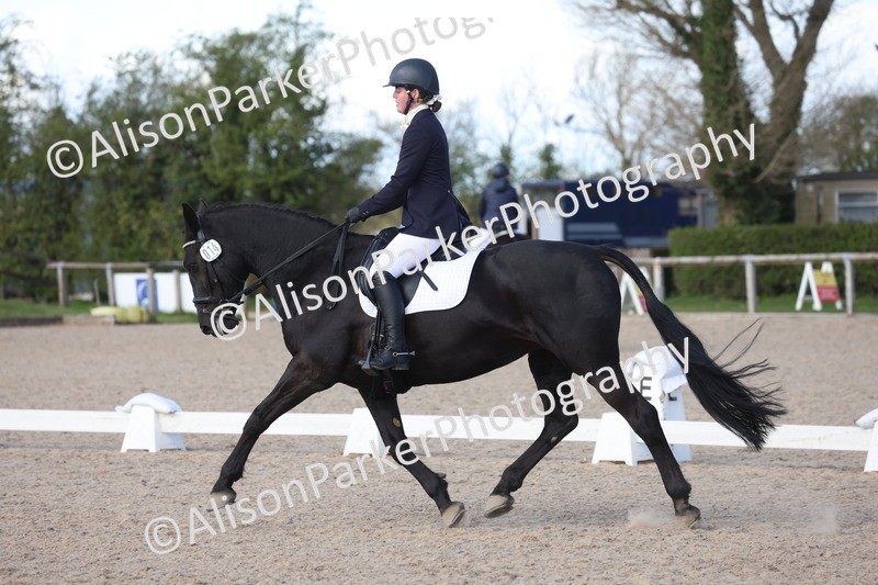 20260405-0517 - Class 6 - Elementary 6