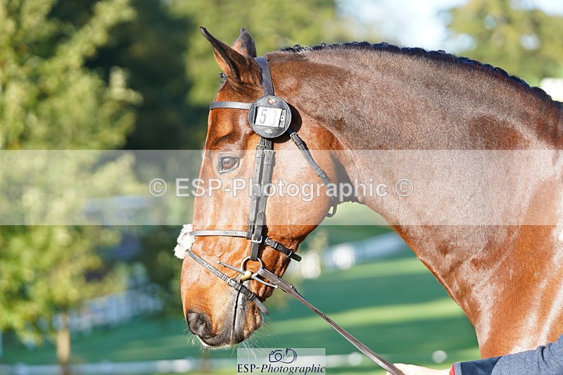 241026-101336-11699 - 053-Lois.Teal-Z7.CATASTROPHE