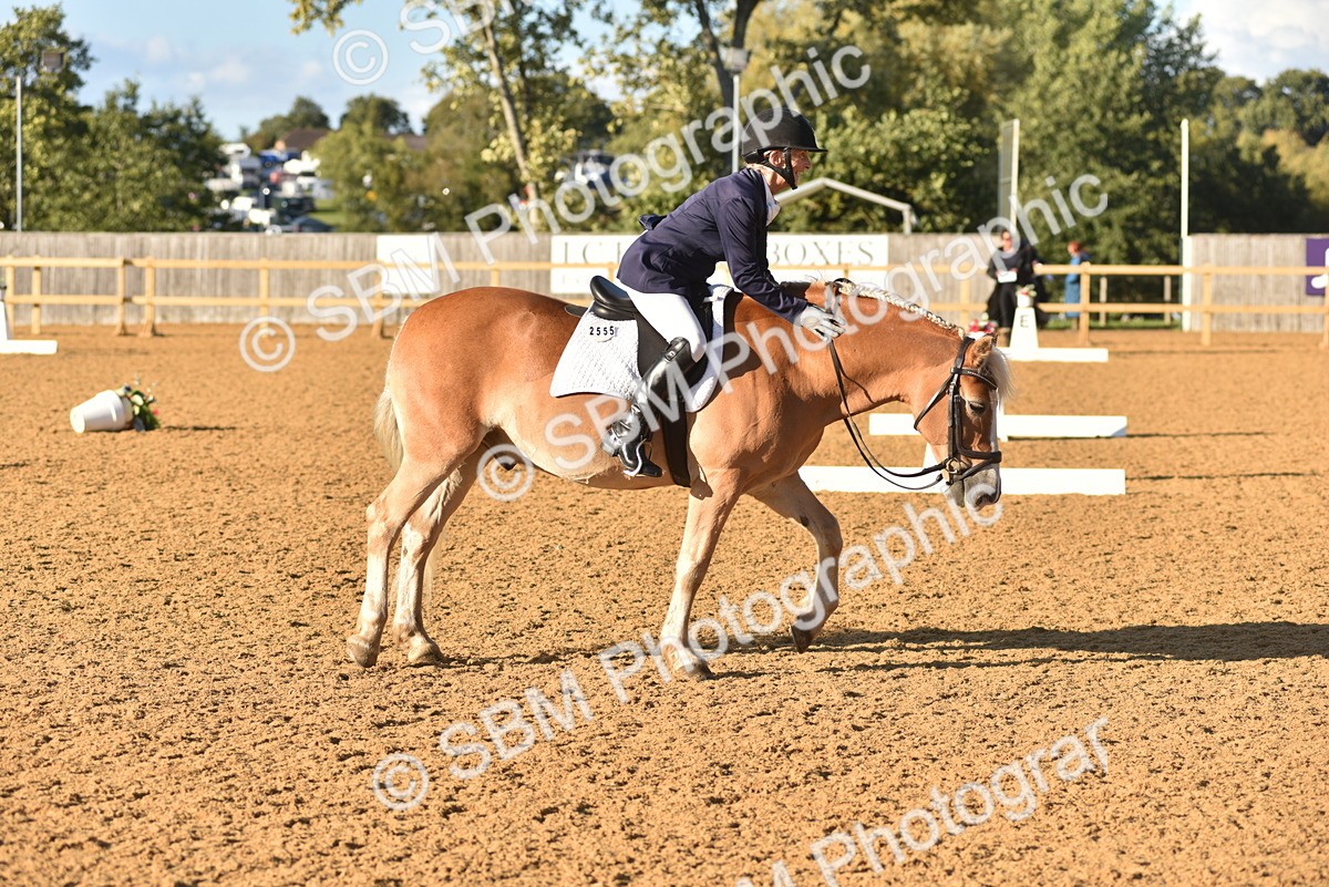 SBM_11419 - D28 - Elementary