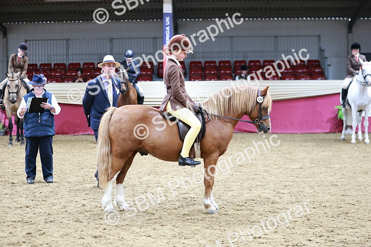 SBM_03562 - Class 6A Area Ridden Pre-Vet