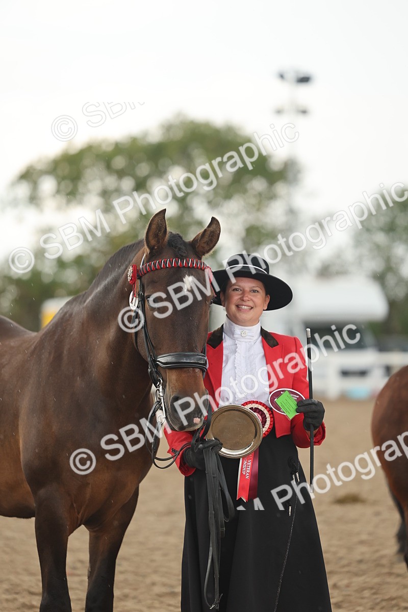 SBM_07705 - Class 26 - IH Foreign Breeds - Part Bred