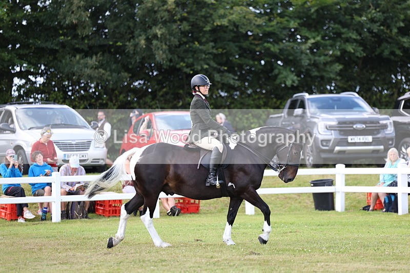 3E7A9626 - Class 5: Rising Star Lightweight/Heavyweight Cobs