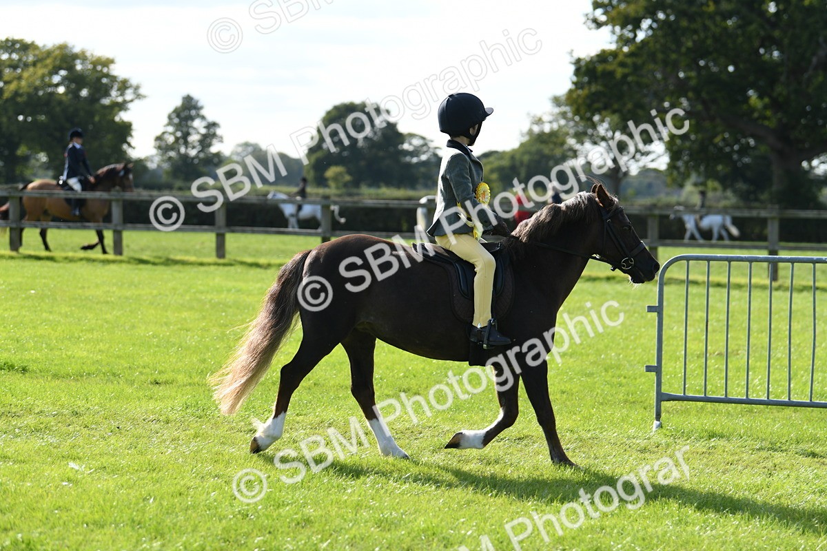 SBM_50539 - S21 - Novice & Newcomers 1st Ridden Pony