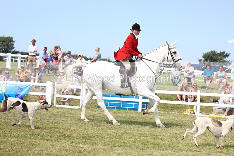 3E7A0182 - Parade of Hounds