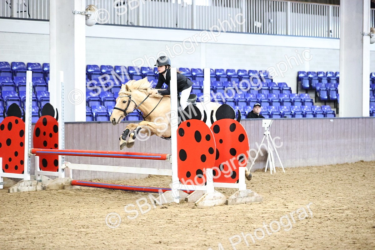 SBM_001397 - Class 9 - Pony British Novice 80cm