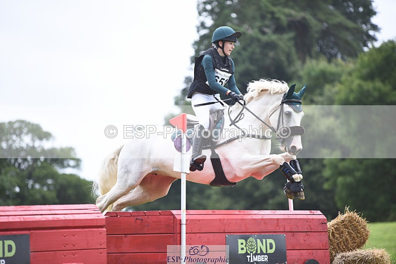 240804-151012-18676 - 653-Ellie_Hillman-KILLEA_COCO_BLUE