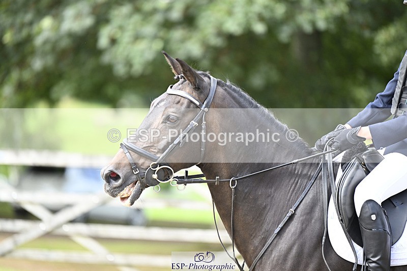 240823X-154930-18897 - 70cm R2 15.20 to 16.40