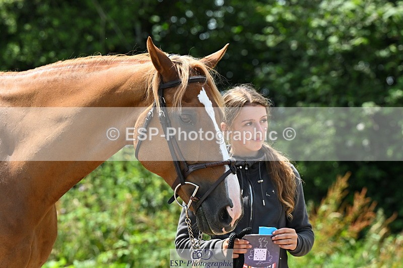 240718A-105314-01731 - Trot Up 1pm to 2pm