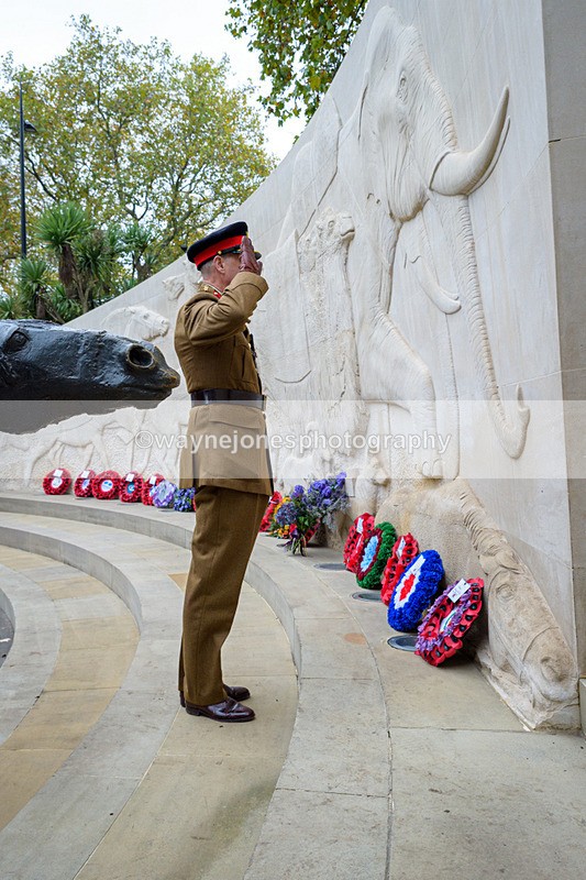NGP_8248 - 2024 Animals in War Remembrance Gathering