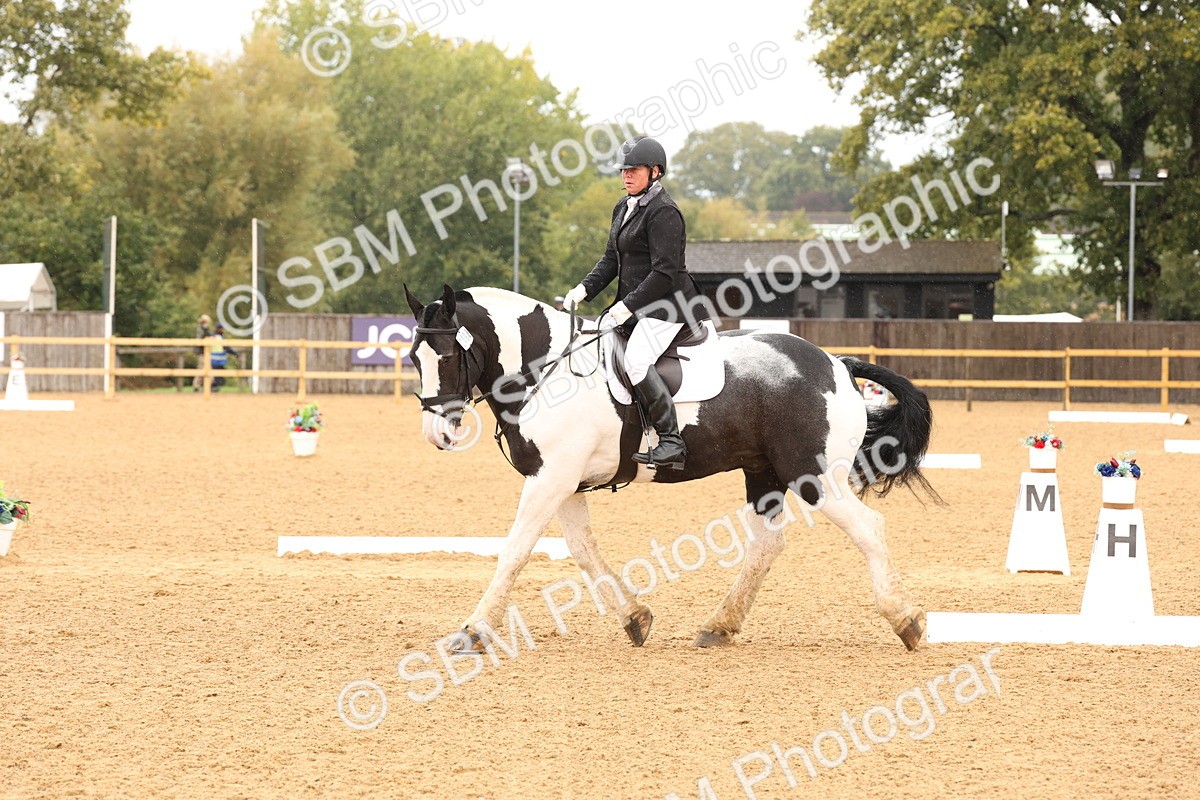 SBM_40610 - D6 - Small Tour Championship Intro 4