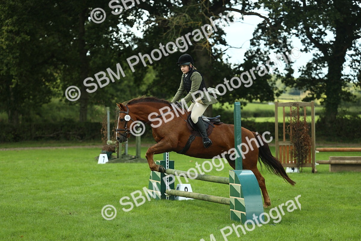 SBM_42893 - S30 - M&M Working hunter Pony