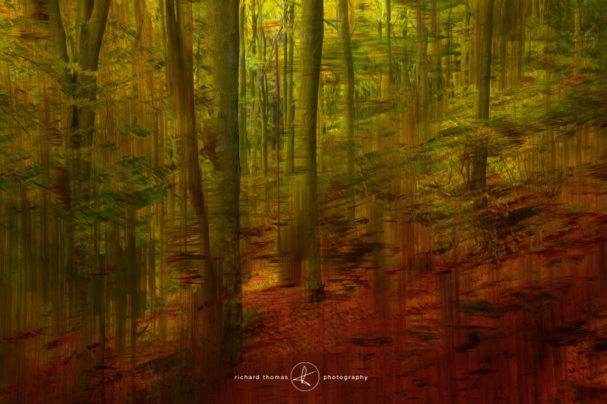 Autumn slipping away. - ALTERED REALITY