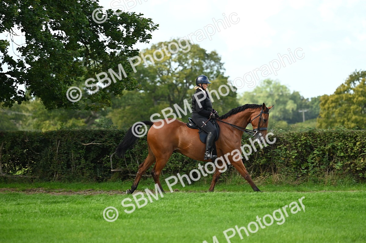 SBM_01982 - S2 - TSR Ridden Horse Showing
