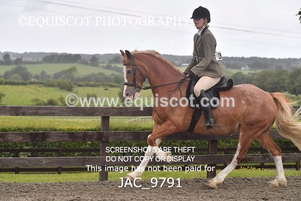 JAC_9791 - CLASS 2 Novice Working Hunter (0.60m - 0.70m)