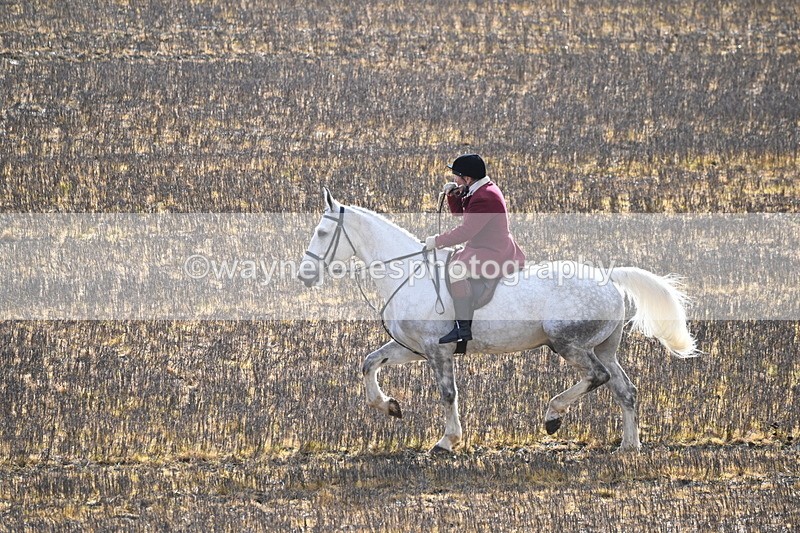 WJ6_8592 - Meet & Line One