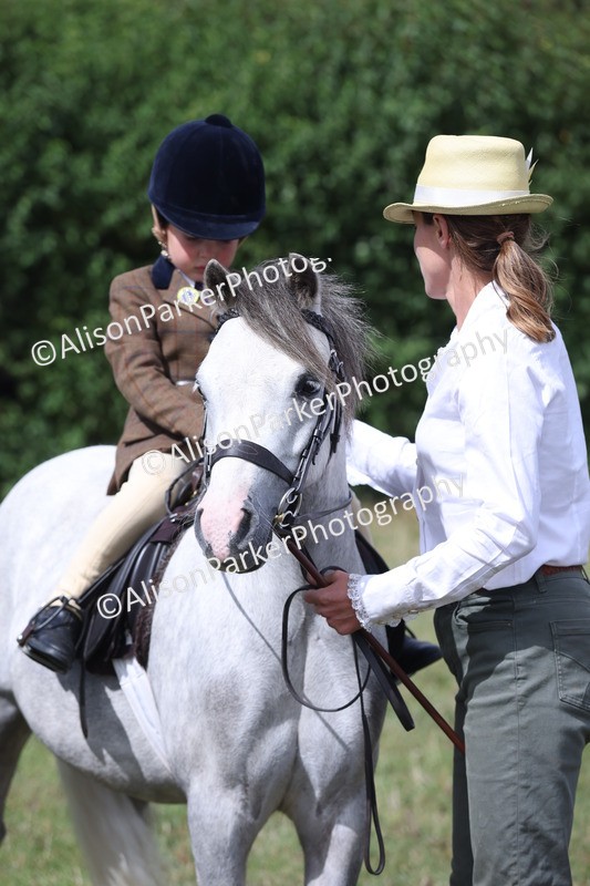 20250831-2748 - Class 17 - Lead Rein Pony