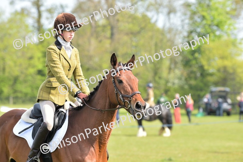 20260426-1153 - Class 19 - Retraining Of Racehorses