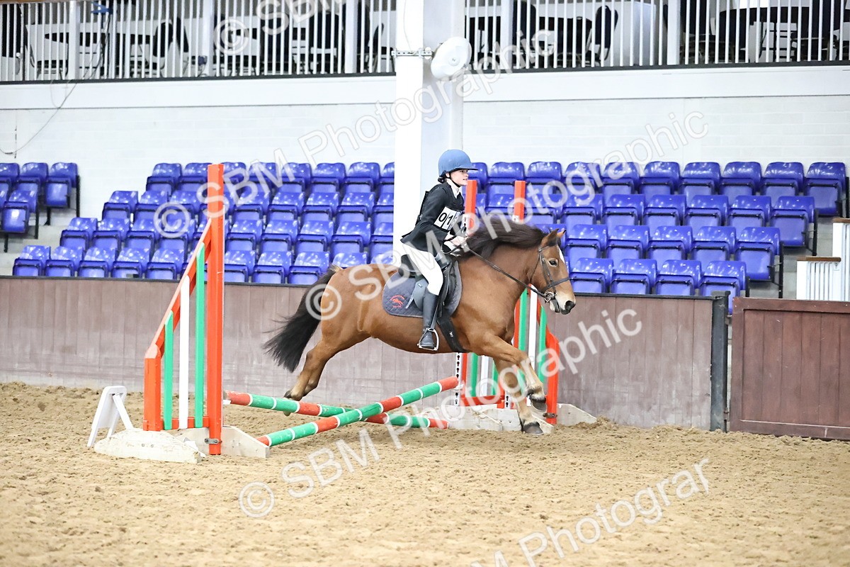 SBM_000157 - Class 2 - The Rug Lady 40cm Area 12 Championship Qualifier