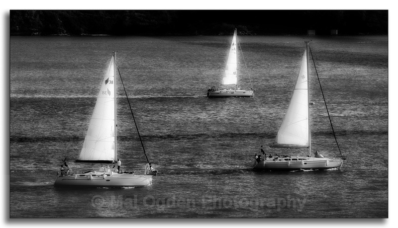 Threesome - Black & White/Monochrome