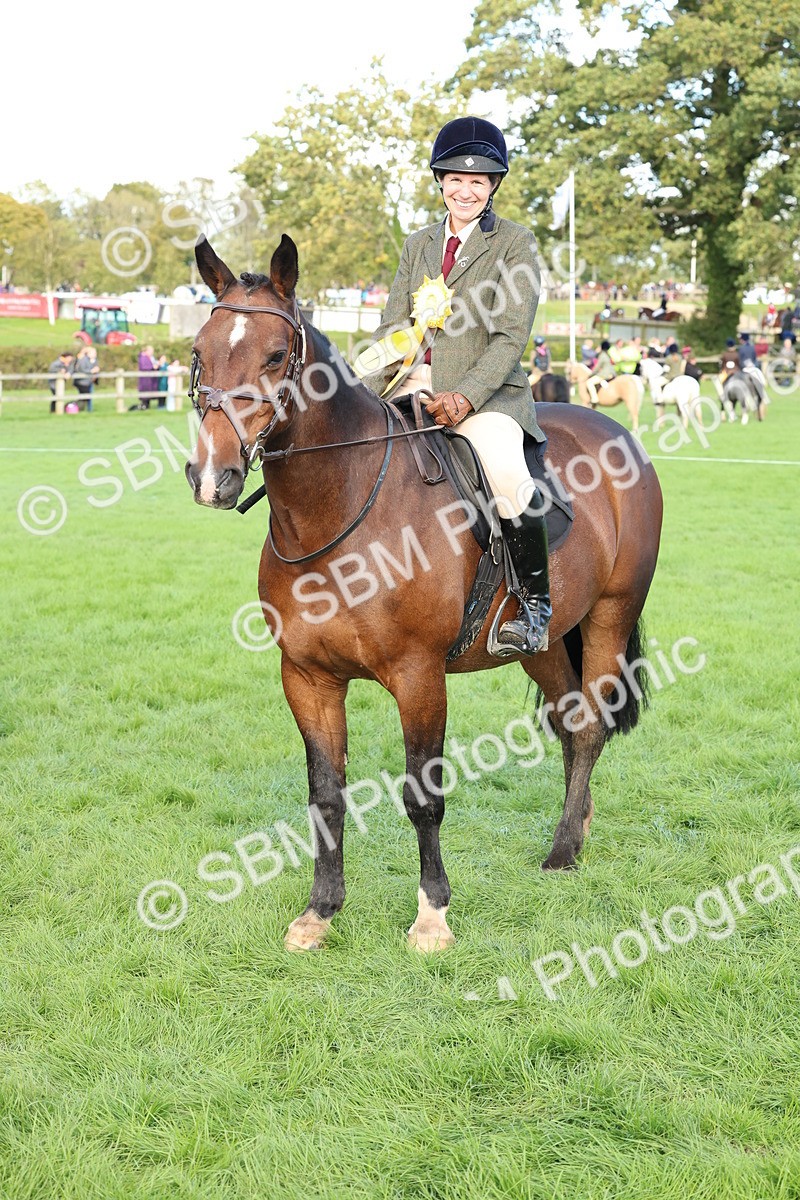 SBM_50203 - S34 - Novice & Newcomers Working Hunter