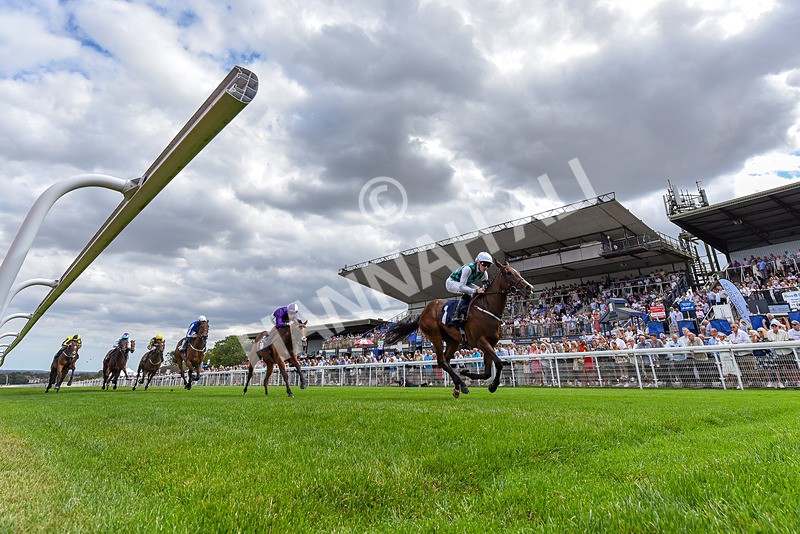 140825-Race 1-Catching The Moon-8757 - Race 1