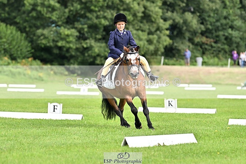 230826-103525-16586 - Sections A & B 10 to End