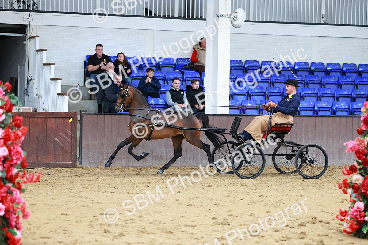 SBM_000653 - Class 9 - HHS Championship Intl Hackney Pony to a Showwagon