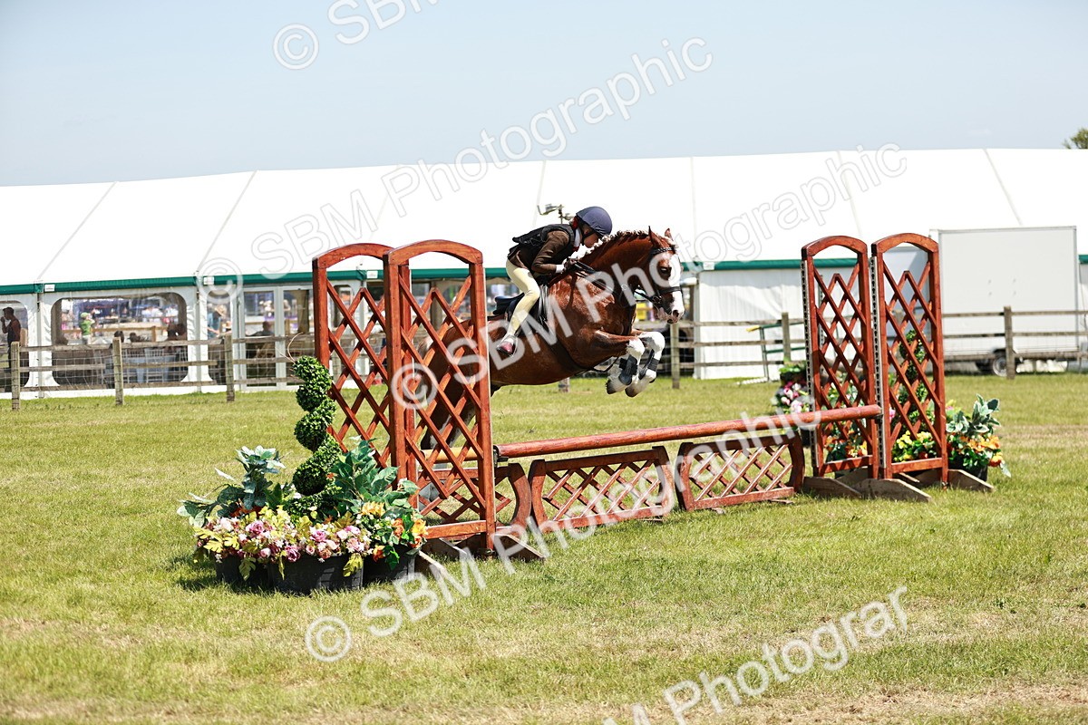 SBM_15586 - Class 108-109 - BSPS LIHS Open Gradle & Nursery Stakes
