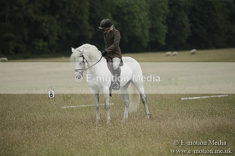 B230619-0357 - Bourne Valley Riding Club Summer Show 23/06/19