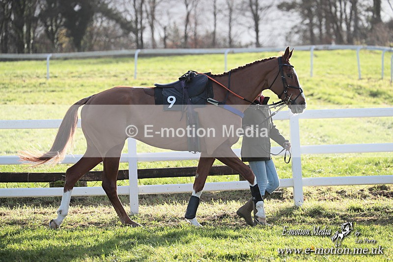 PtP 011224 450 - Hursley Hambledon Point-to-Point Larkhill 01/12/24
