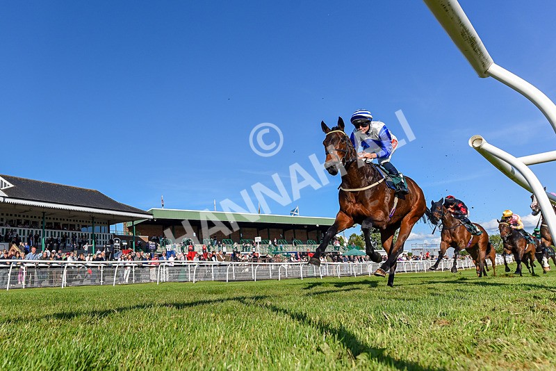 300525-Race 2-Cheerleader-3526 - Race 2