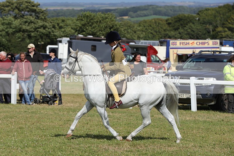 1X9A5762 - Class 40: NPS Welsh A & B