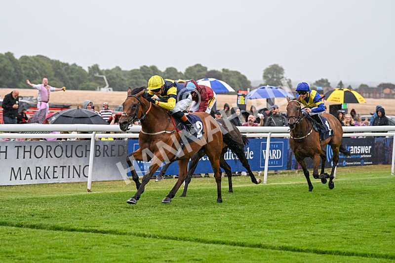 040725-Race 3-Orbaan-4689 - Race 3