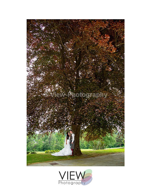 4 - Weddings