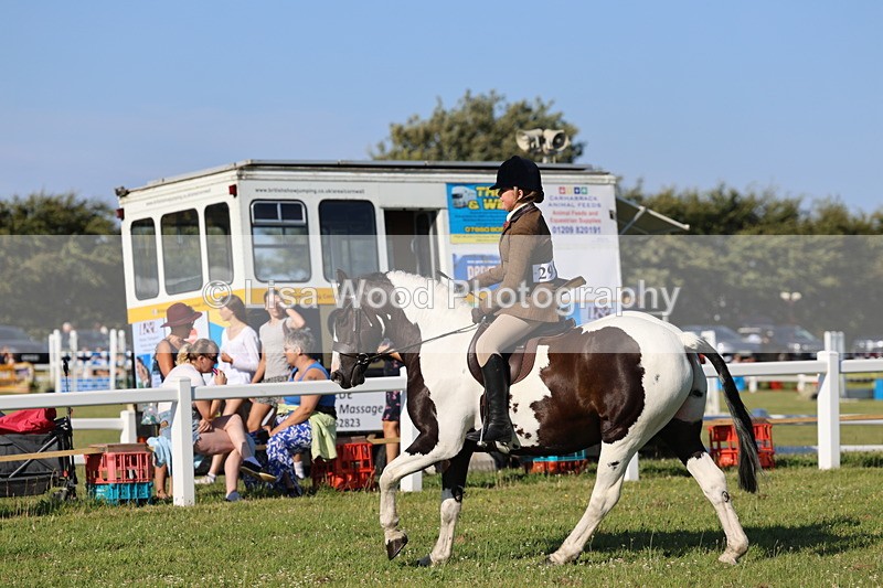 IMG_1389 - Class 28: Ridden Plaited Coloured Pony