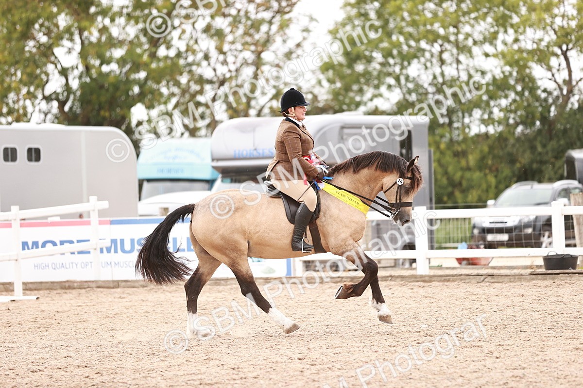 SBM_19093 - Class 422 - Ridden M&M