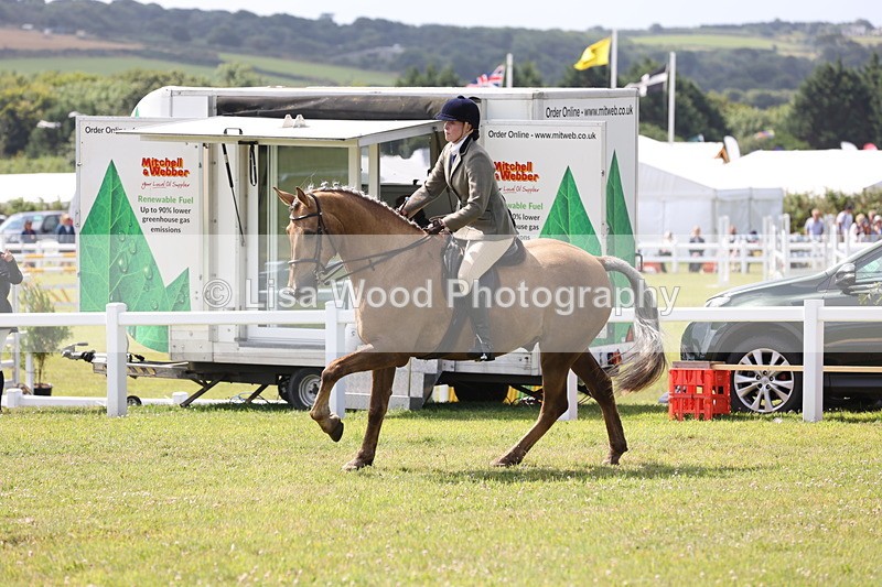 JPP_1332 - Class 17: Cornish Combination Open