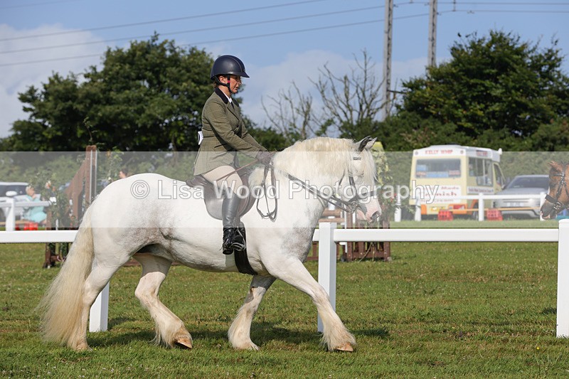 1X9A3213 - Class 28: Ridden Native/Trad Coloured Pony