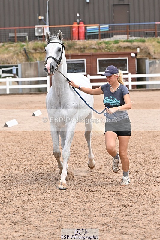 250716-142232-01053 - Trot Up 1.30 to 2.30