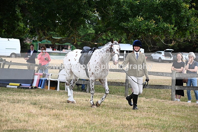 WJ6_3844 - Class 9 Tack & Turnout