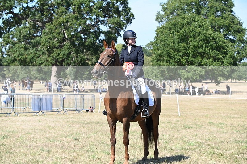 WJ6_9094 - Class 38 Ridden Riding Horse/Pony