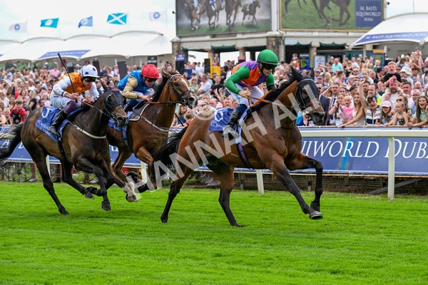 280625-Race 2-Quinault-0148 - Race 2 2.25pm Al Basti Equiworld Dubai Criterion Stakes