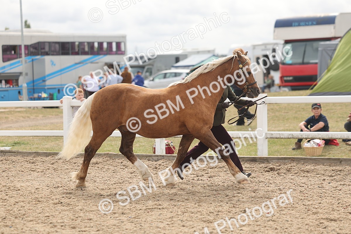 SBM_04970 - Class 20 - IH Veteran
