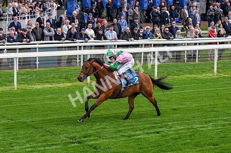 140526-Race 2-Jakajaro-0089 - Race 2 2.20pm Lindum York Handicap